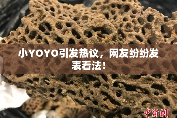 小YOYO引发热议，网友纷纷发表看法！