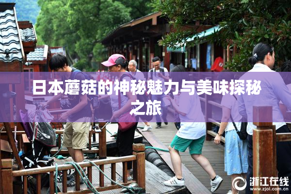 日本蘑菇的神秘魅力与美味探秘之旅