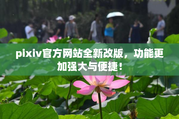 pixiv官方网站全新改版，功能更加强大与便捷！