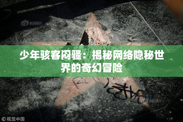 少年骇客闷骚：揭秘网络隐秘世界的奇幻冒险