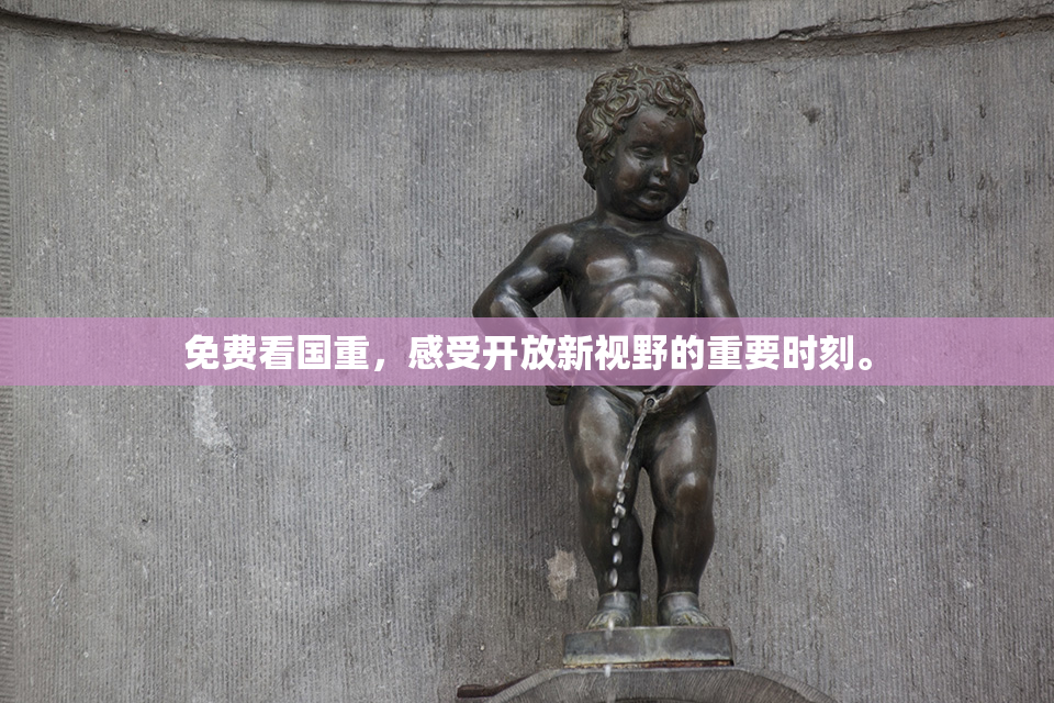 免费看国重，感受开放新视野的重要时刻。