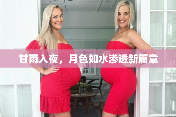 甘雨入夜，月色如水渗透新篇章