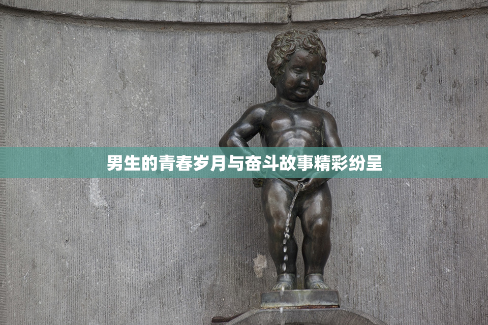 男生的青春岁月与奋斗故事精彩纷呈
