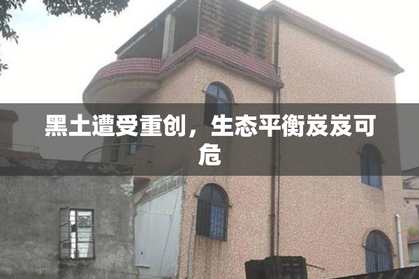 黑土遭受重创，生态平衡岌岌可危