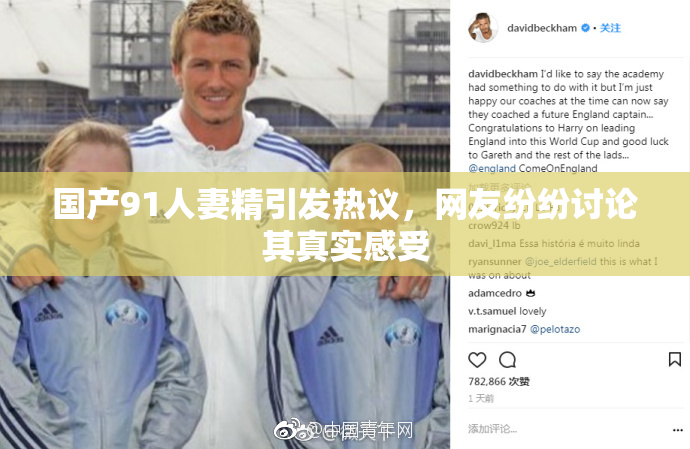 国产91人妻精引发热议，网友纷纷讨论其真实感受