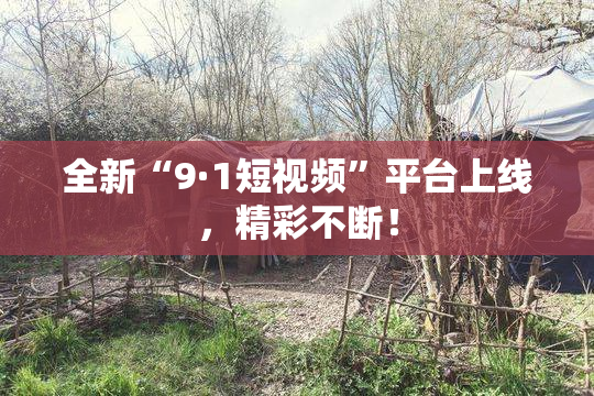 全新“9·1短视频”平台上线，精彩不断！