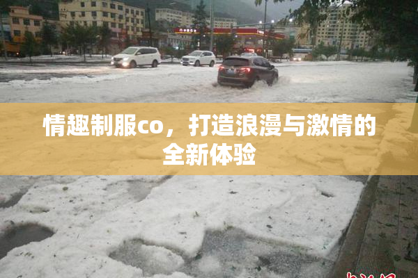 情趣制服co，打造浪漫与激情的全新体验