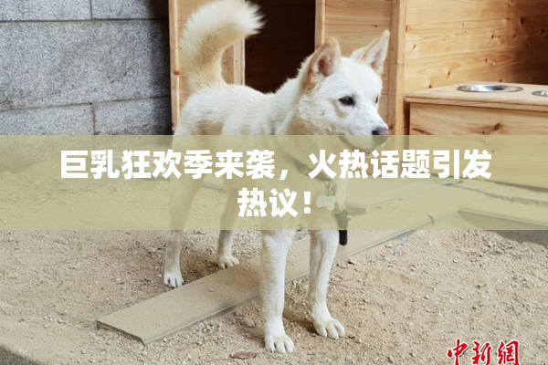 巨乳狂欢季来袭，火热话题引发热议！