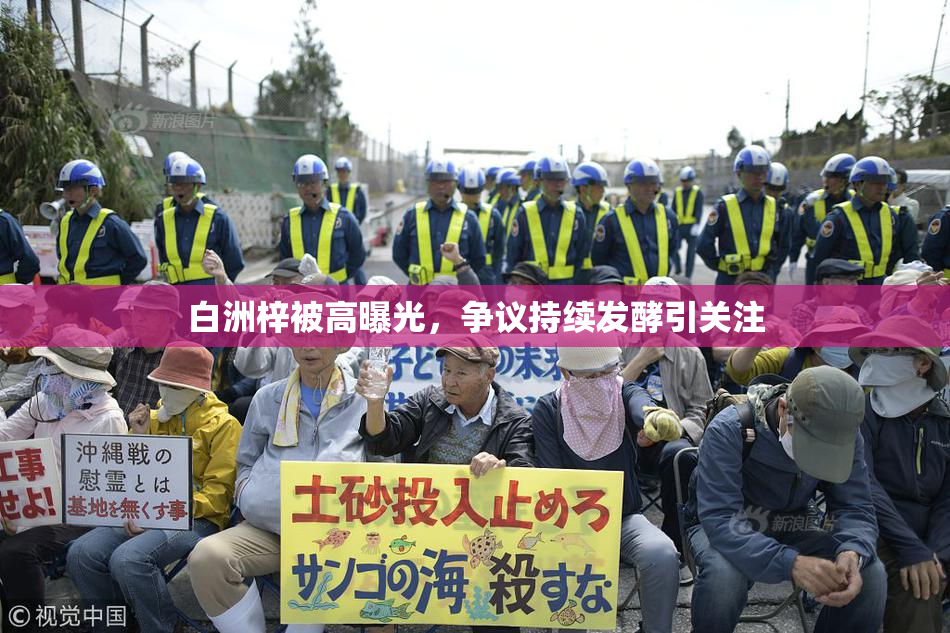 白洲梓被高曝光，争议持续发酵引关注