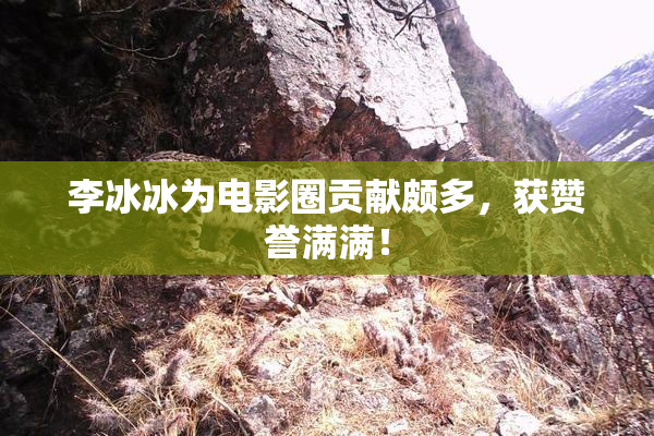 李冰冰为电影圈贡献颇多，获赞誉满满！