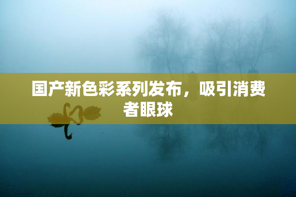 国产新色彩系列发布，吸引消费者眼球