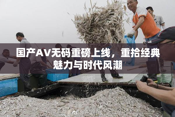 国产AV无码重磅上线，重拾经典魅力与时代风潮