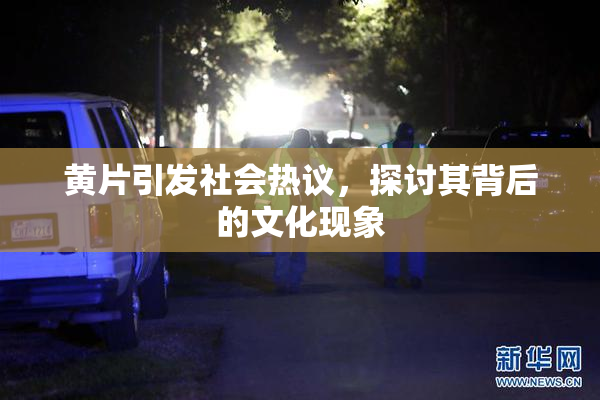 黄片引发社会热议，探讨其背后的文化现象