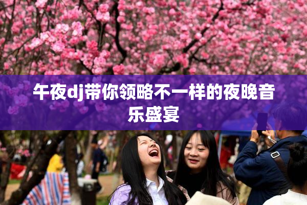 午夜dj带你领略不一样的夜晚音乐盛宴