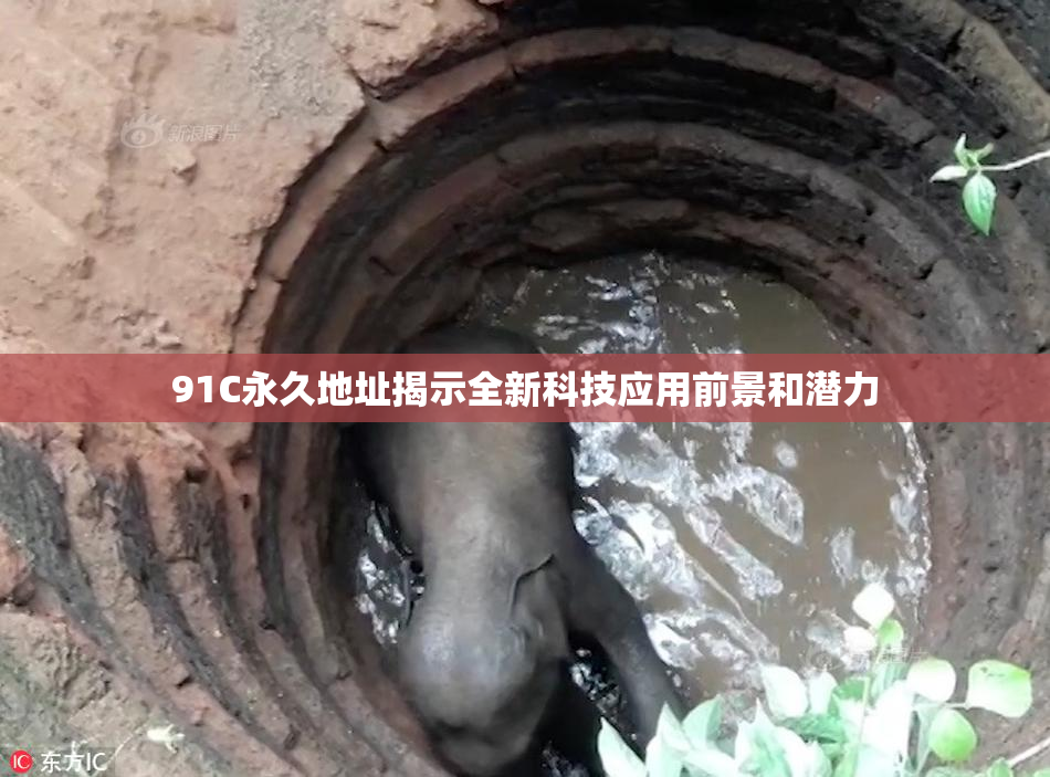 91C永久地址揭示全新科技应用前景和潜力