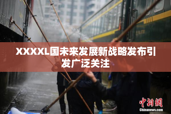 XXXXL国未来发展新战略发布引发广泛关注