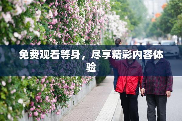 免费观看等身，尽享精彩内容体验