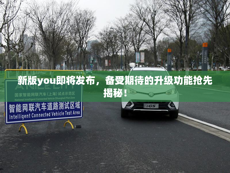 新版you即将发布，备受期待的升级功能抢先揭秘！