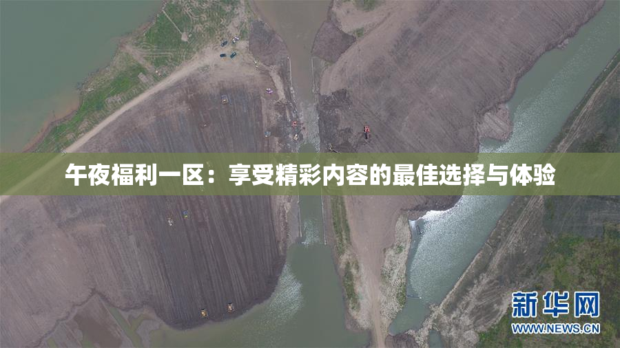 午夜福利一区：享受精彩内容的最佳选择与体验