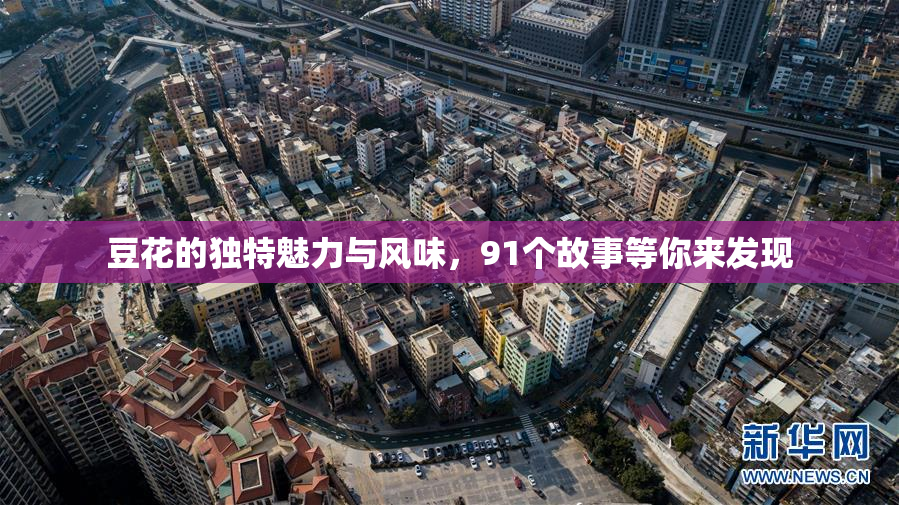 豆花的独特魅力与风味，91个故事等你来发现