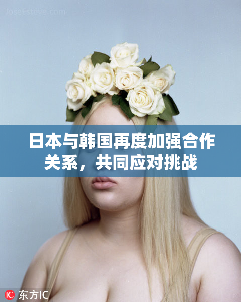 日本与韩国再度加强合作关系，共同应对挑战