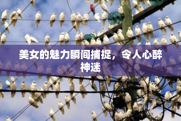 美女的魅力瞬间捕捉，令人心醉神迷