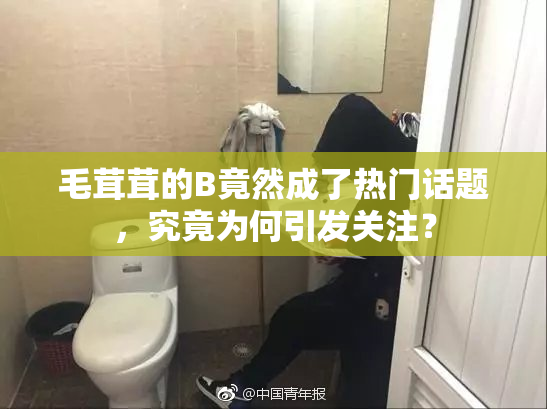 毛茸茸的B竟然成了热门话题，究竟为何引发关注？