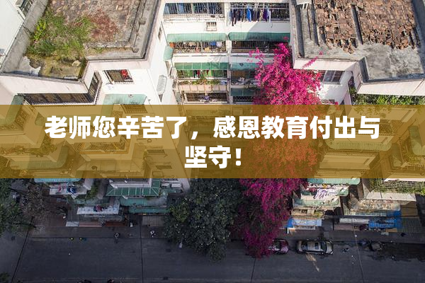 老师您辛苦了，感恩教育付出与坚守！