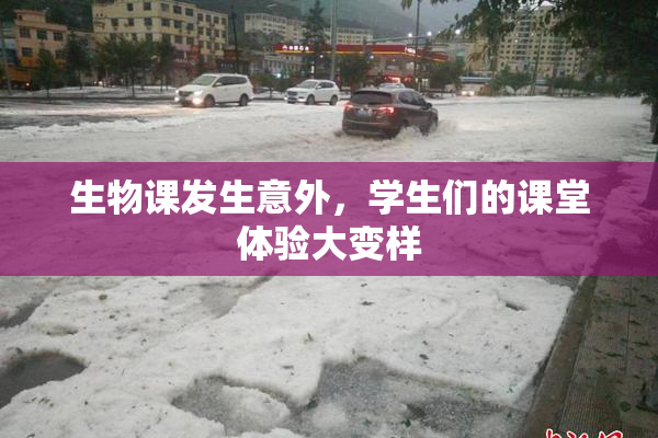 生物课发生意外，学生们的课堂体验大变样