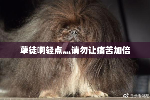 孽徒啊轻点灬请勿让痛苦加倍
