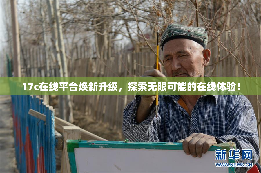 17c在线平台焕新升级，探索无限可能的在线体验！