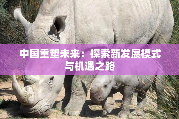 中国重塑未来：探索新发展模式与机遇之路