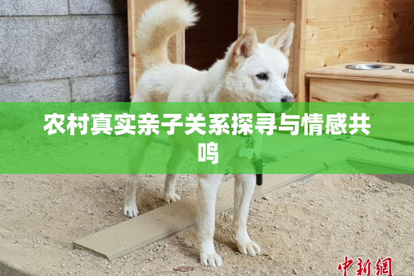 农村真实亲子关系探寻与情感共鸣