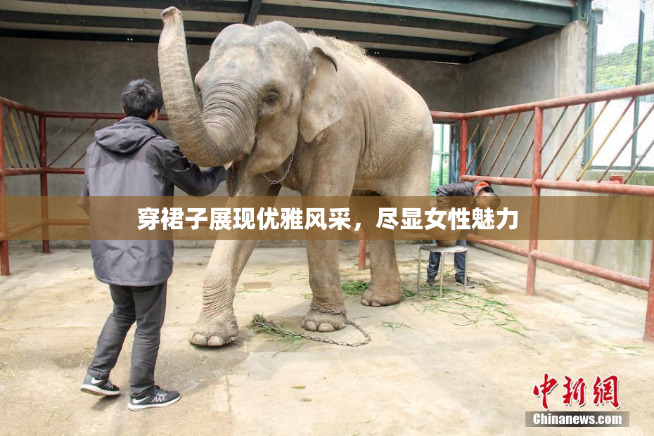 穿裙子展现优雅风采，尽显女性魅力