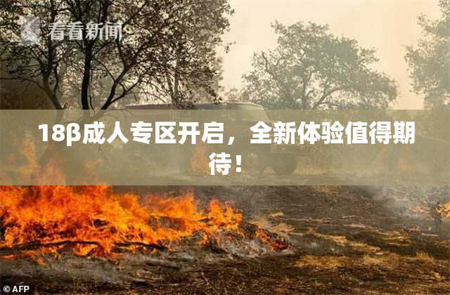 18β成人专区开启，全新体验值得期待！