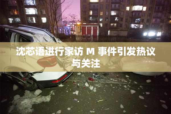 沈芯语进行家访 M 事件引发热议与关注
