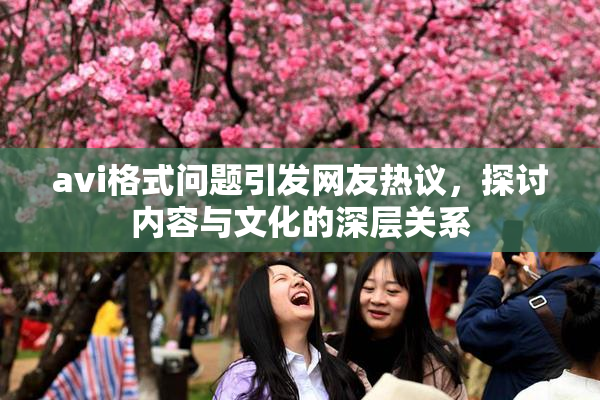 avi格式问题引发网友热议，探讨内容与文化的深层关系