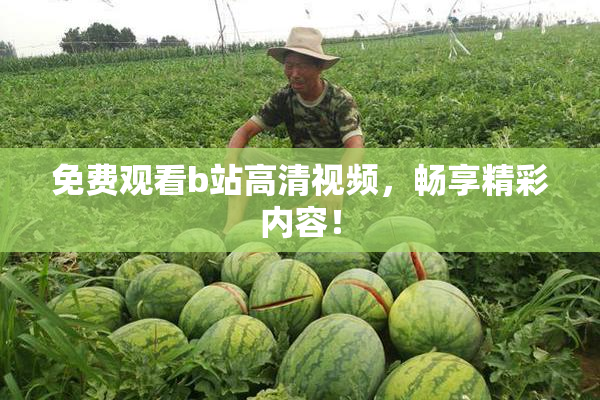 免费观看b站高清视频，畅享精彩内容！