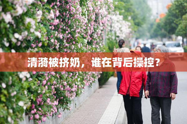 清漪被挤奶，谁在背后操控？