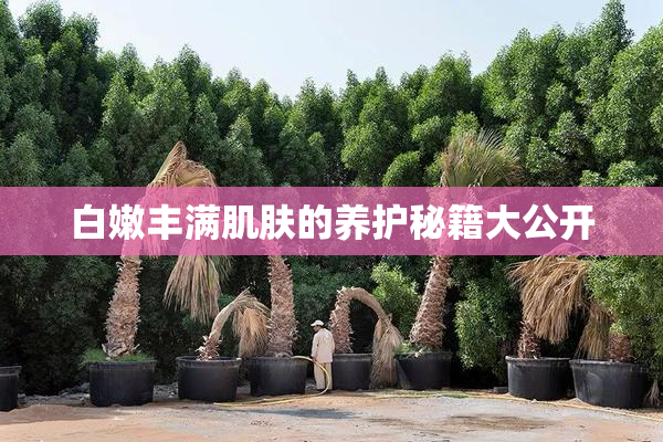 白嫩丰满肌肤的养护秘籍大公开