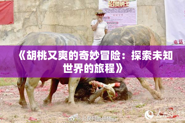 《胡桃又爽的奇妙冒险：探索未知世界的旅程》
