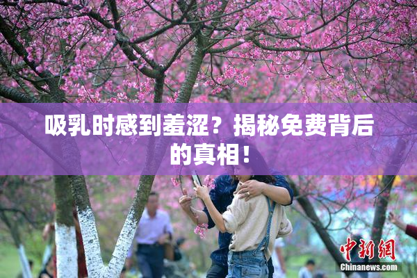 吸乳时感到羞涩？揭秘免费背后的真相！