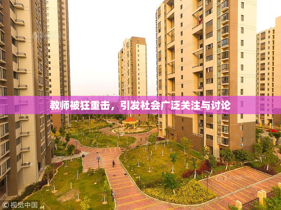 教师被狂重击，引发社会广泛关注与讨论