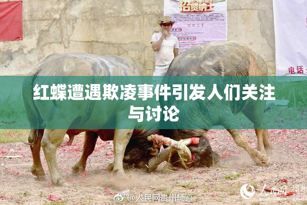 红蝶遭遇欺凌事件引发人们关注与讨论