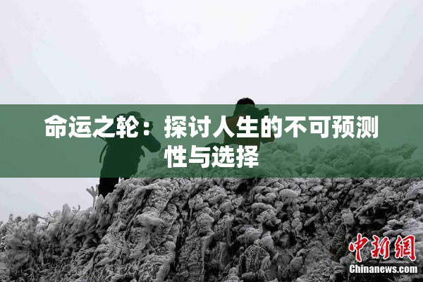 命运之轮：探讨人生的不可预测性与选择