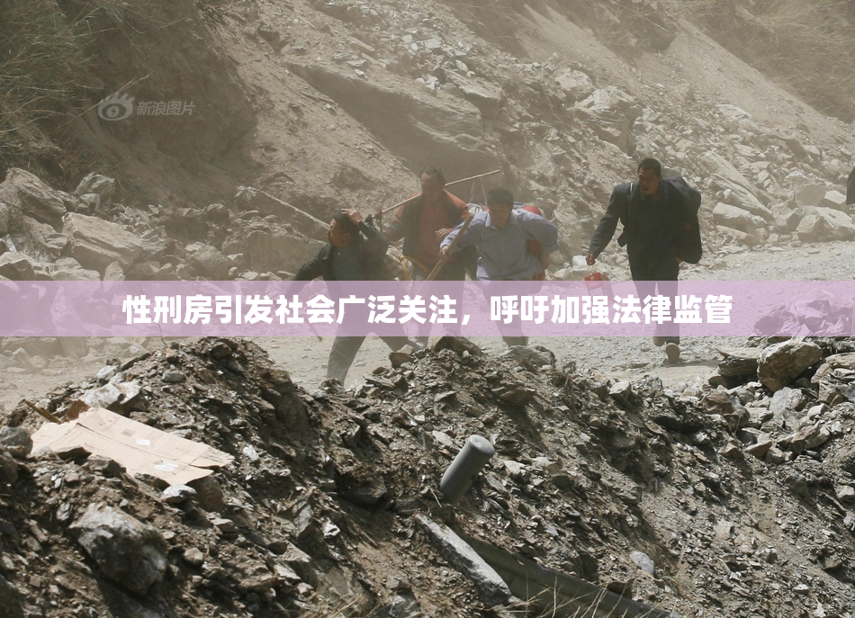 性刑房引发社会广泛关注，呼吁加强法律监管