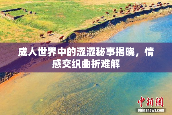成人世界中的涩涩秘事揭晓，情感交织曲折难解