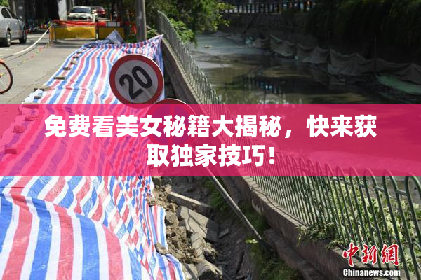 免费看美女秘籍大揭秘，快来获取独家技巧！