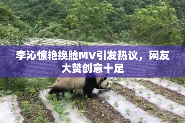 李沁惊艳换脸MV引发热议，网友大赞创意十足