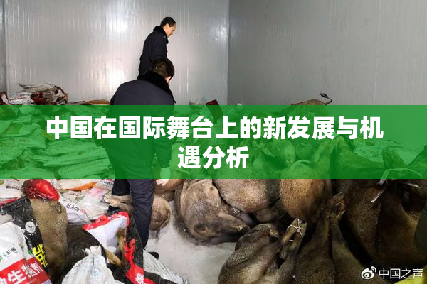 中国在国际舞台上的新发展与机遇分析